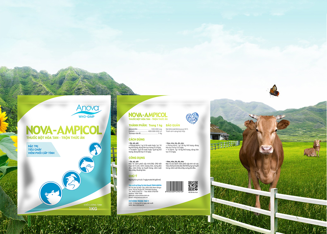 ANOVA - Thiết kế bao bì dược phẩm thú y ANOVA